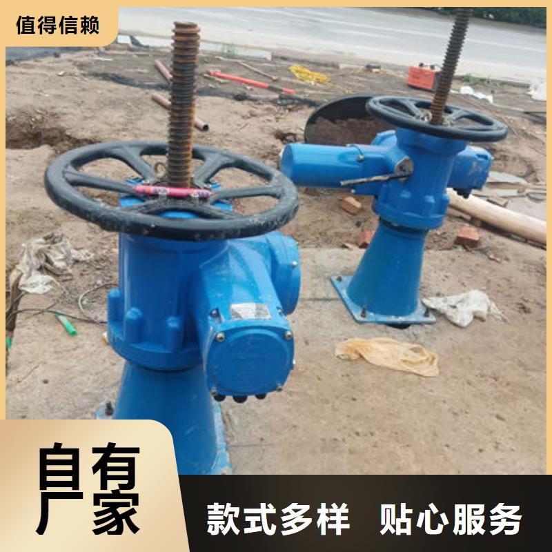 螺杆式启闭机QDA电装启闭机客户信赖的厂家