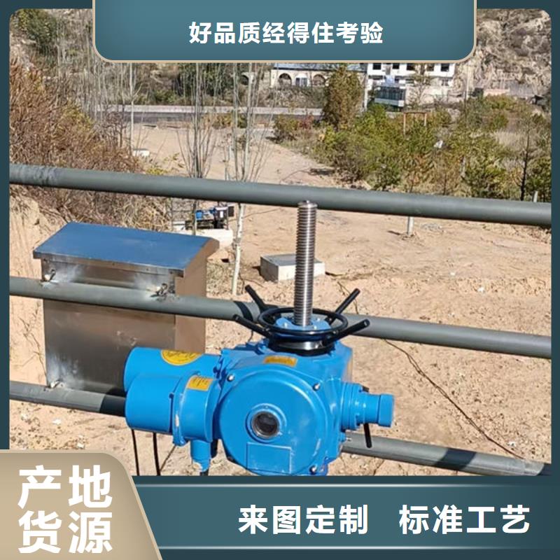螺杆式启闭机启闭机闸门源厂定制