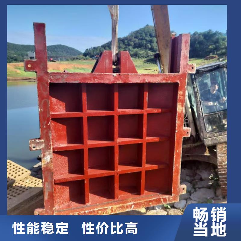 铸铁闸门,水库铸铁闸门诚信经营