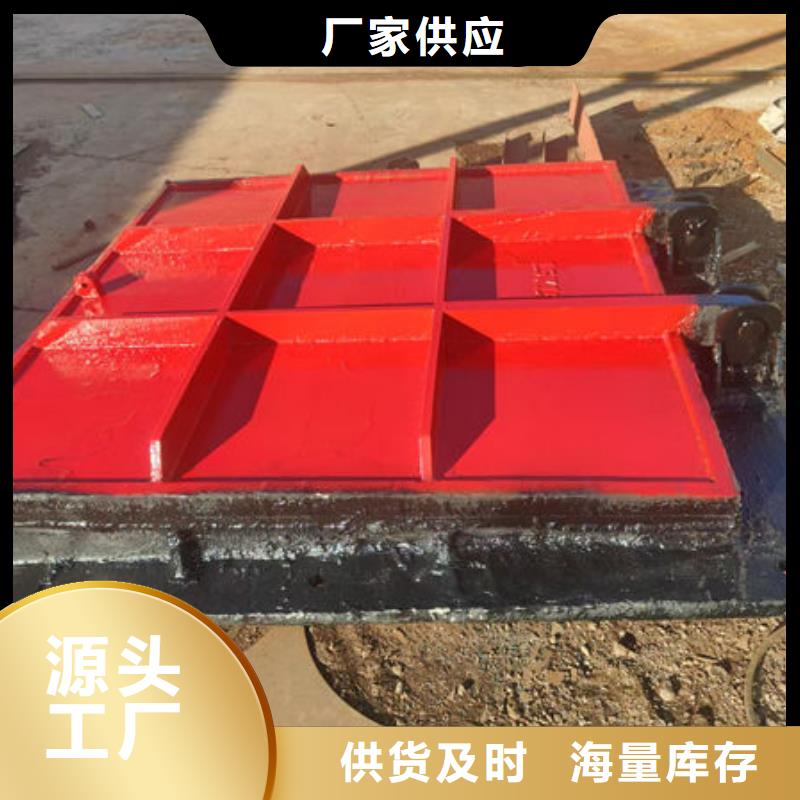 铸铁闸门,水库铸铁闸门诚信经营