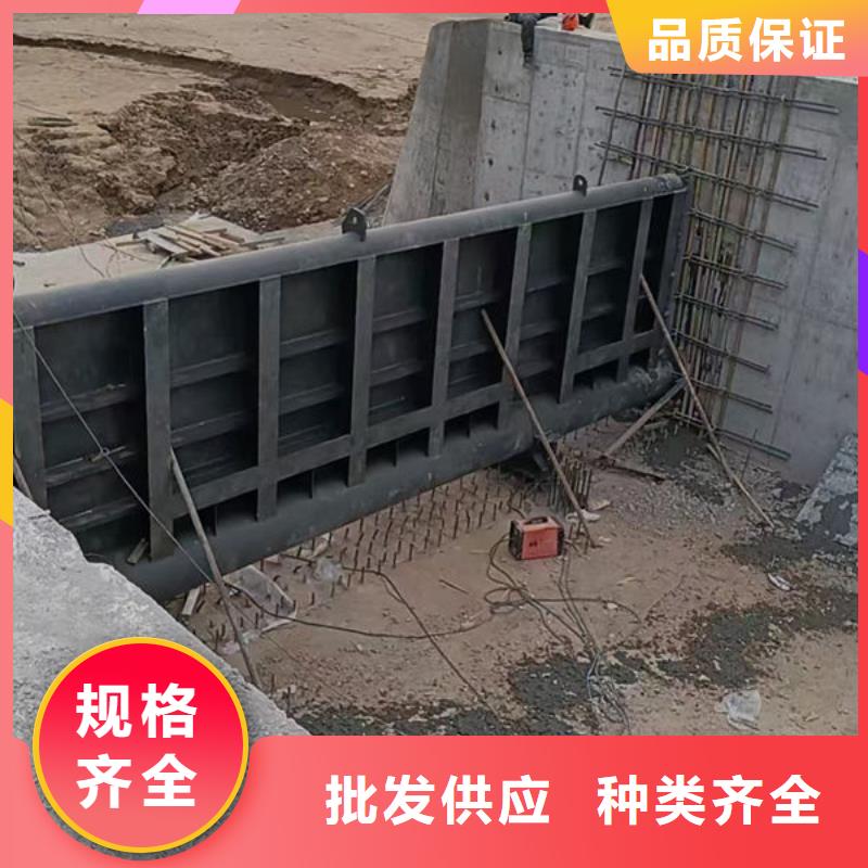 钢坝闸门自动抓梁订购