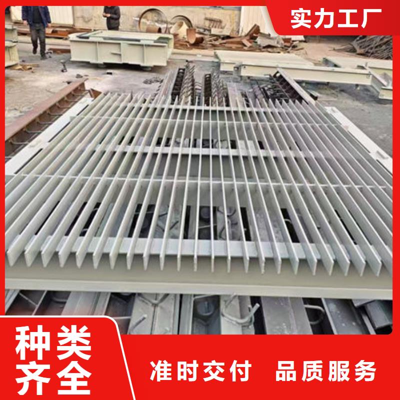 清污机,水电站清污机出厂价