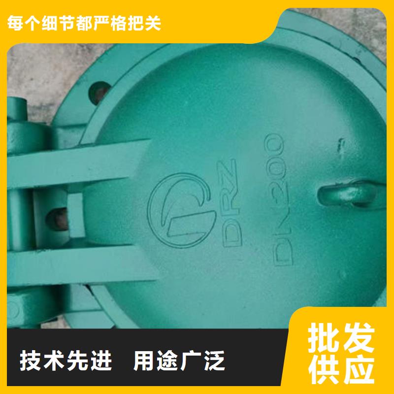 拍门,球墨铸铁拍门货品齐全
