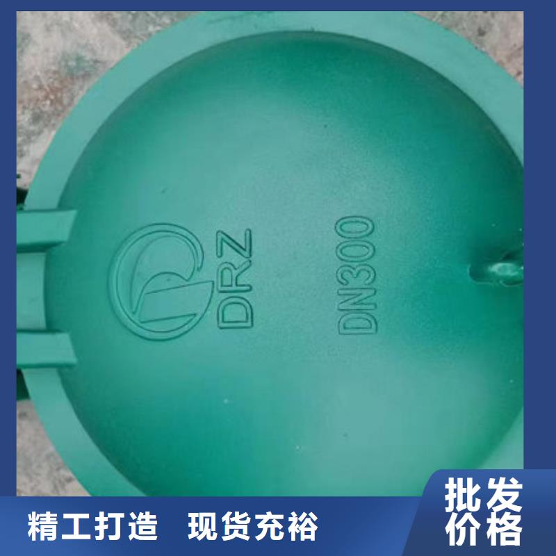 拍门-防倒灌拍门不断创新