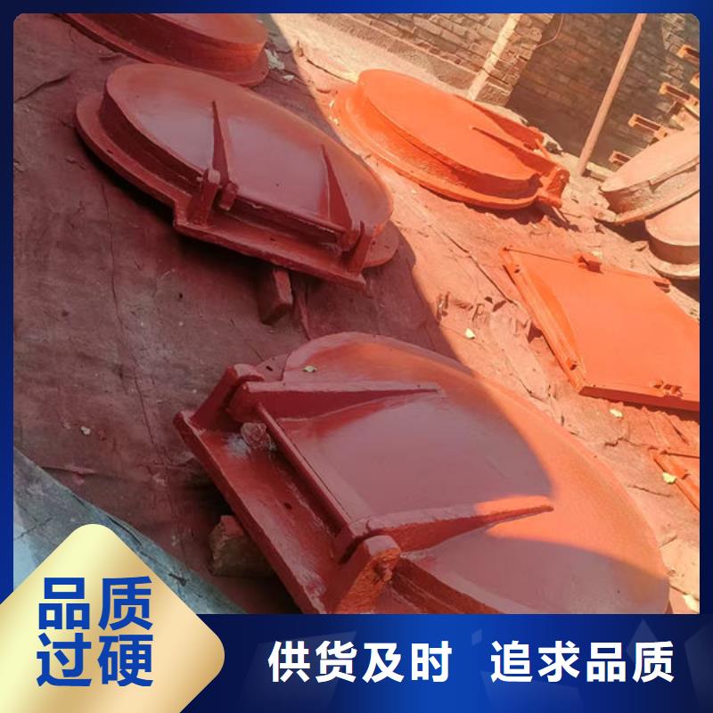 拍门_钢拍门供您所需