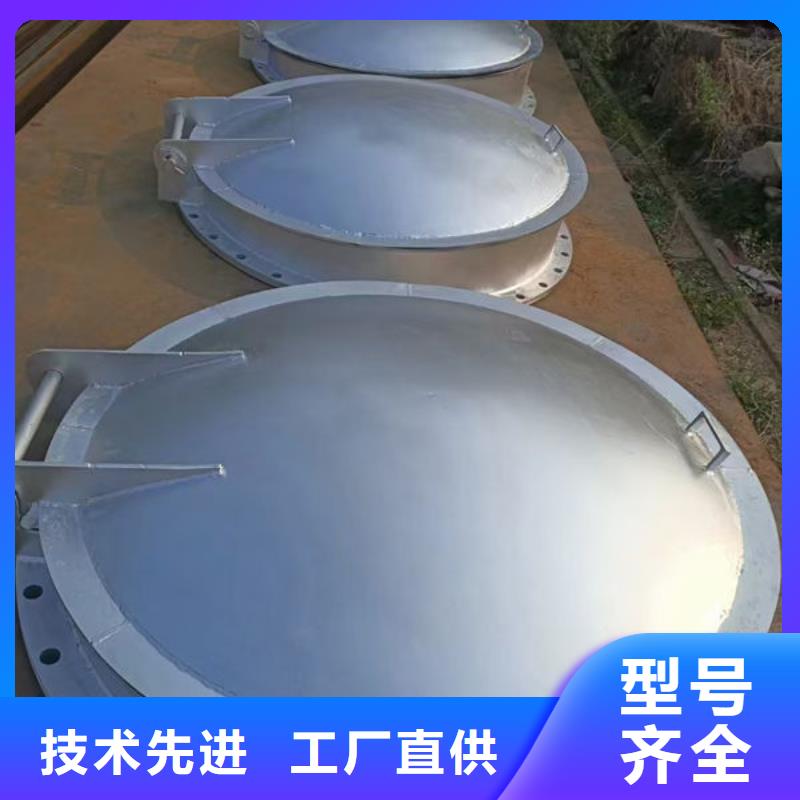 拍门-防倒灌拍门不断创新