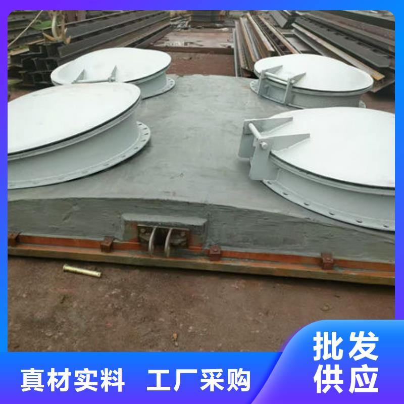 拍门_钢拍门供您所需
