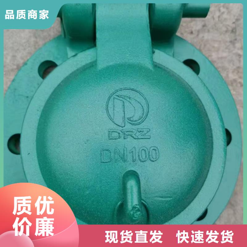 拍门钢拍门生产加工