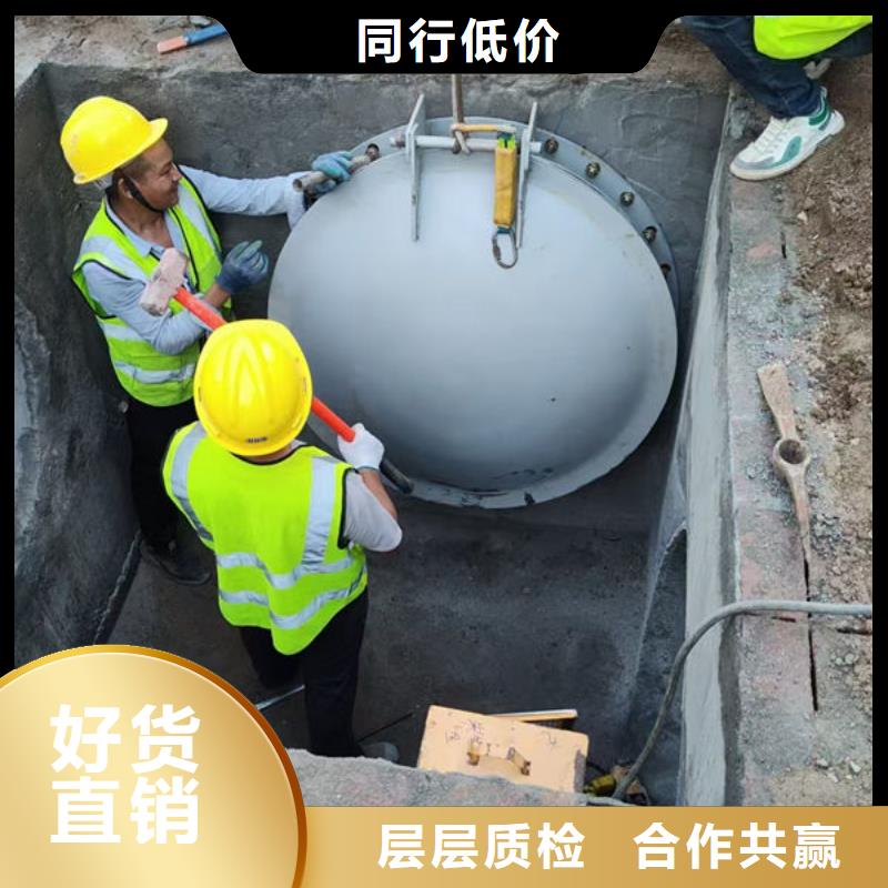 拍门球墨铸铁拍门优选货源