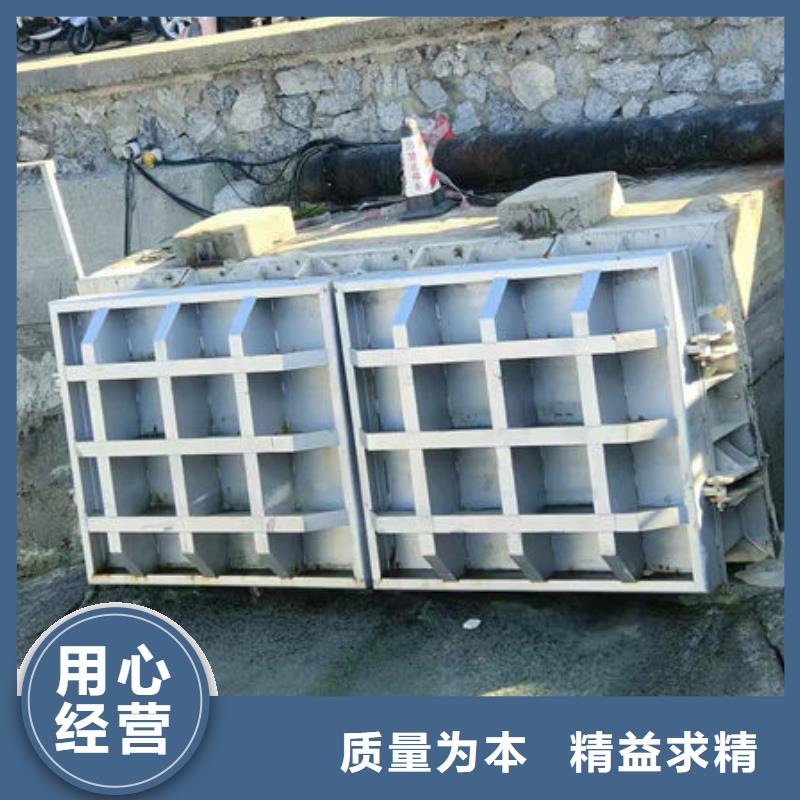 拍门-铸铁拍门厂家直营