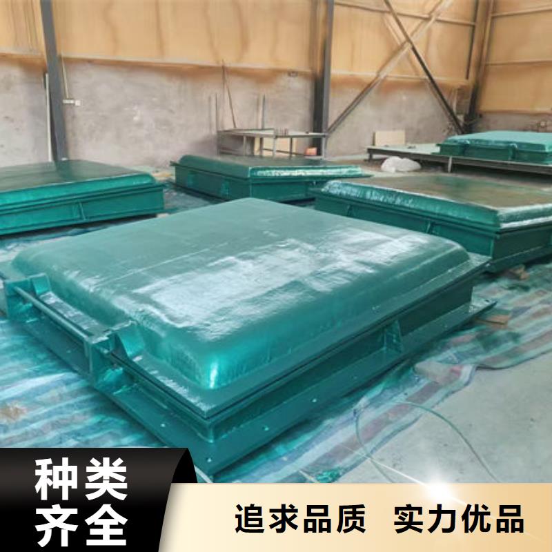 拍门球墨铸铁拍门优选货源