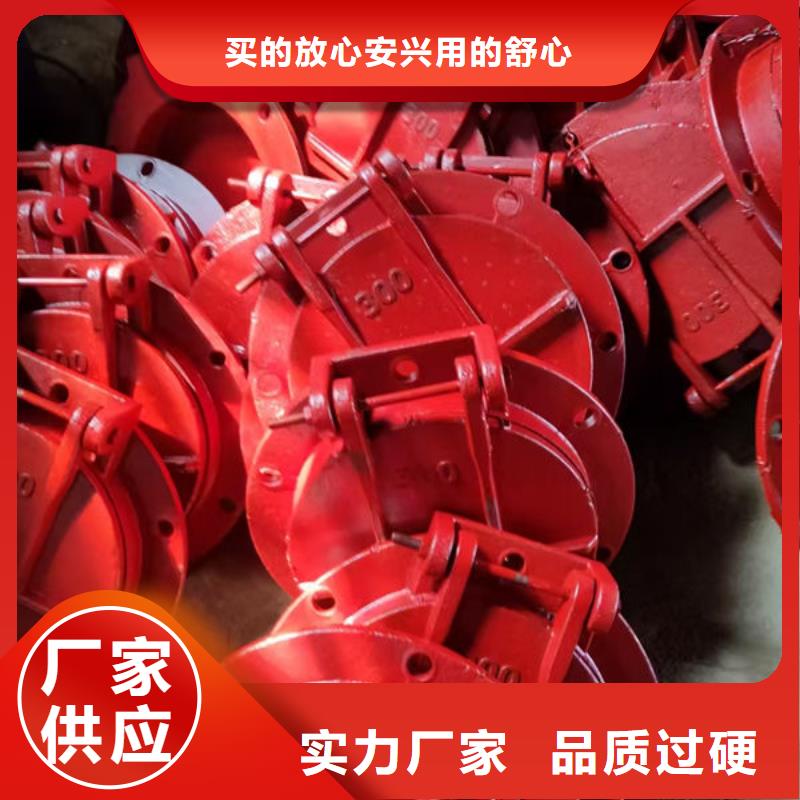 拍门-铸铁拍门厂家直营