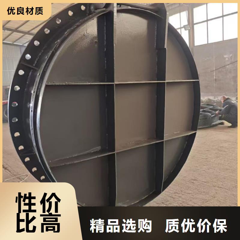 拍门钢拍门生产加工