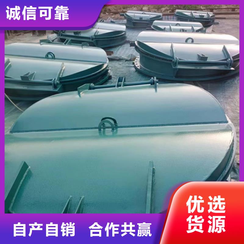 拍门球墨铸铁拍门优选货源