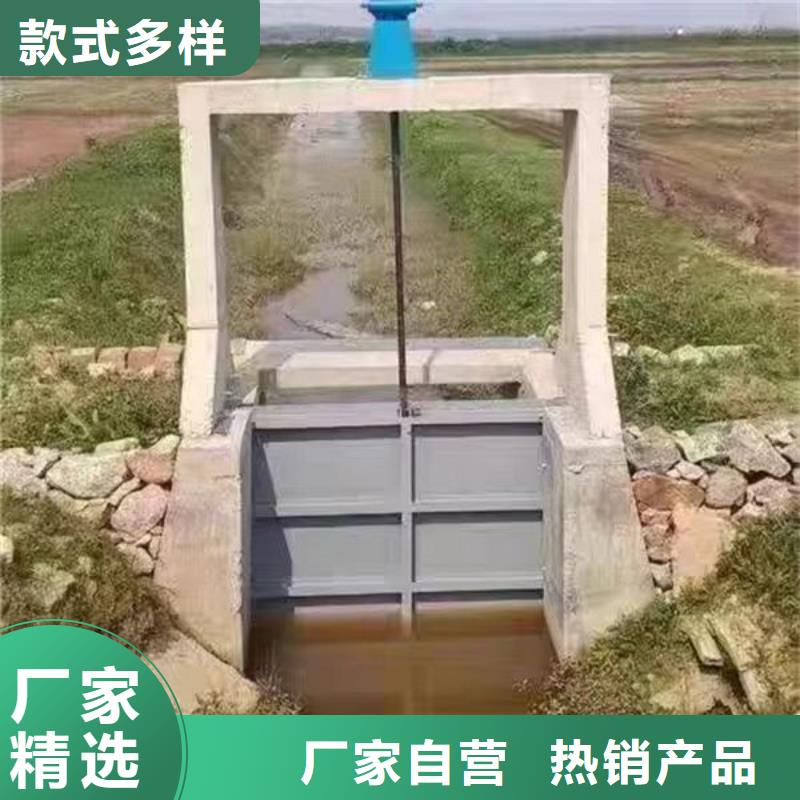 不锈钢闸门平面钢闸门品质做服务