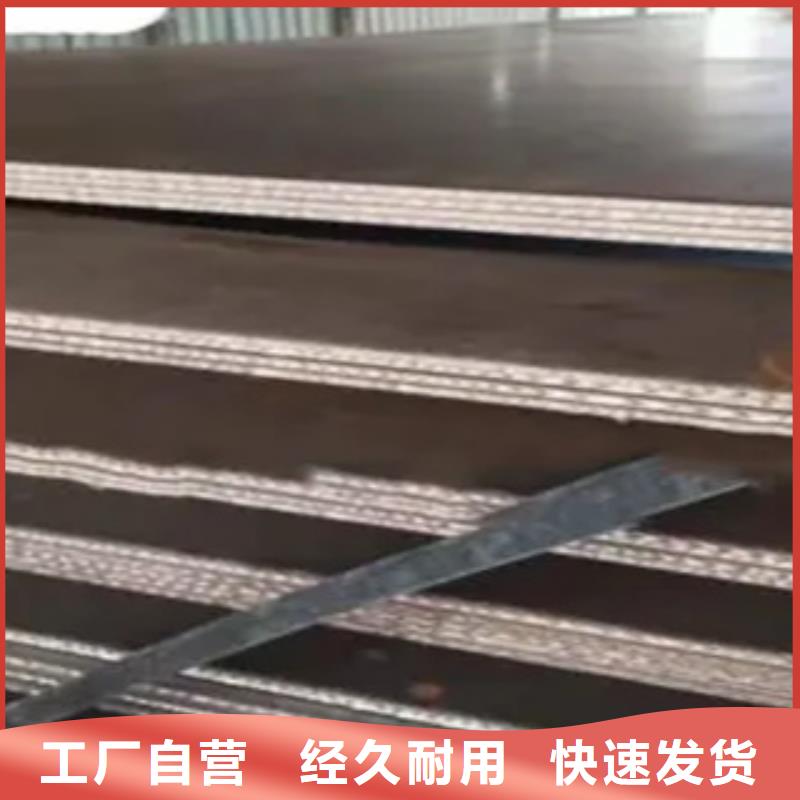 锰钢板-合金板实地大厂