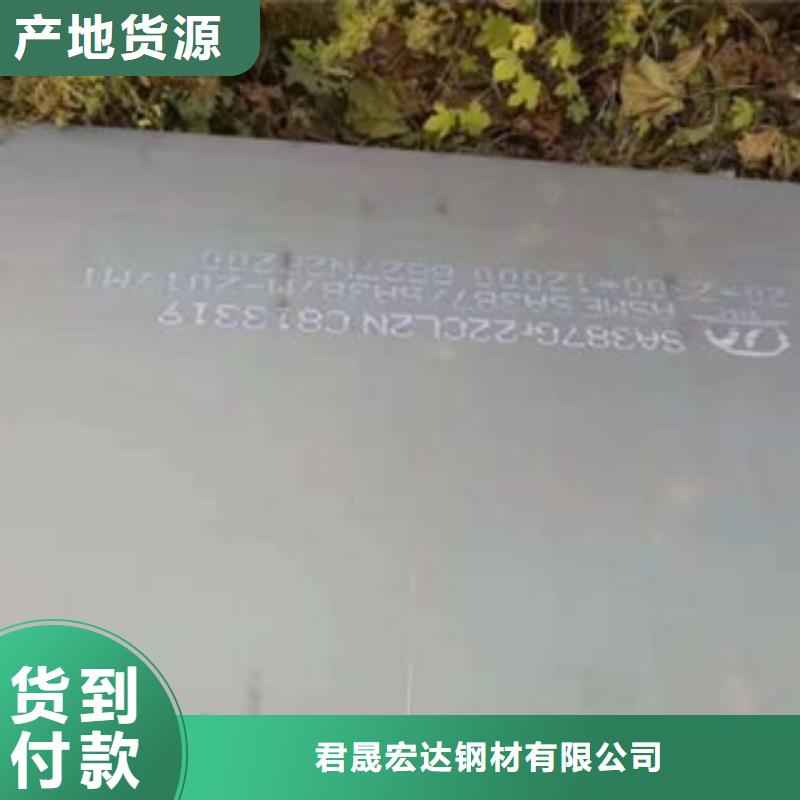 容器钢板-桥梁板匠心打造