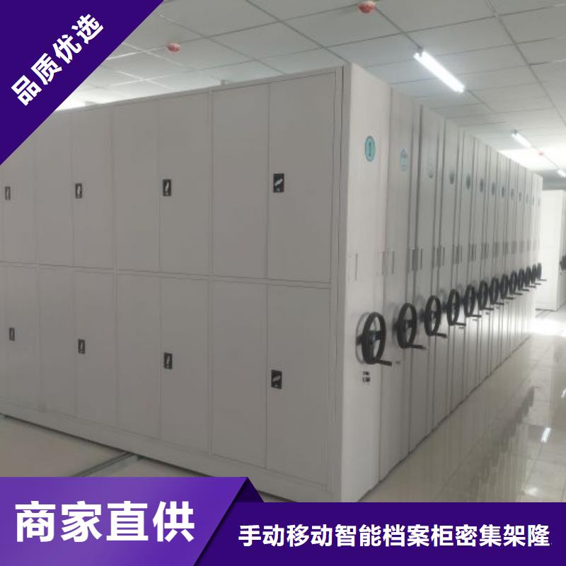 认真负责【桦平】网片式油画密集架
