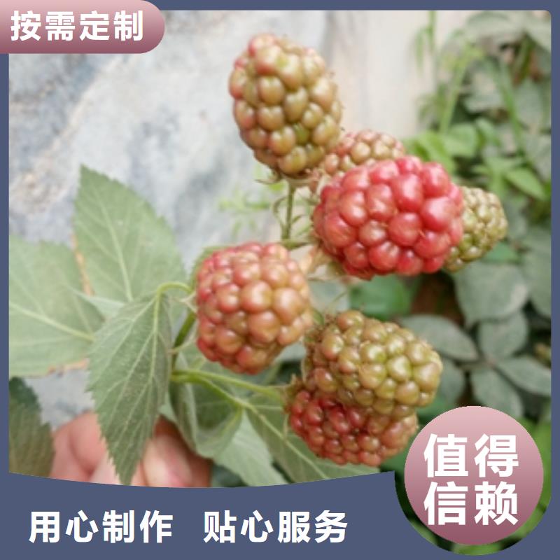 【 树莓苗_碧桃技术先进】