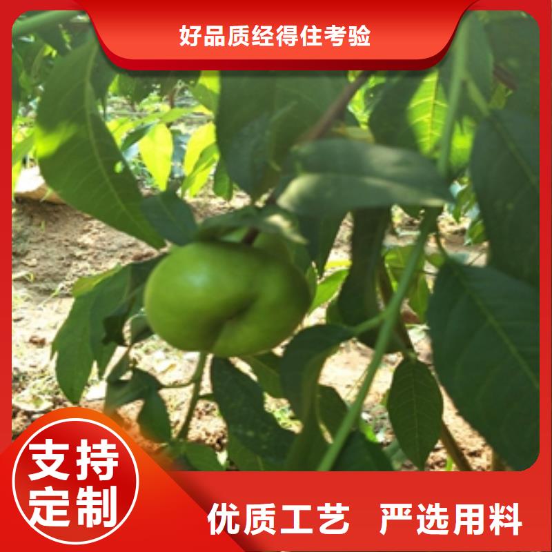 桃树-【樱桃苗】厂家技术完善 正家园艺场(荆门市分公司)
