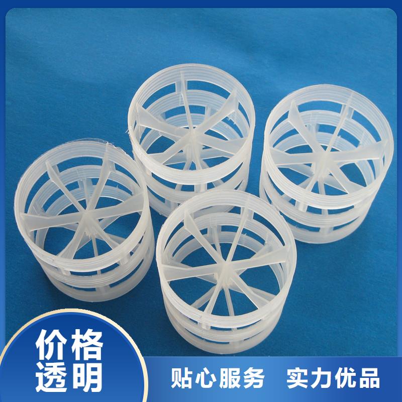 鲍尔环沸石优质材料厂家直销