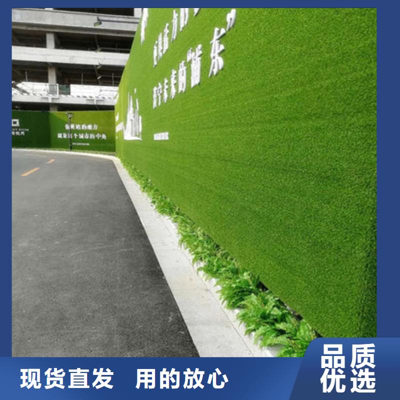 围挡草坪假草皮围挡好产品好服务