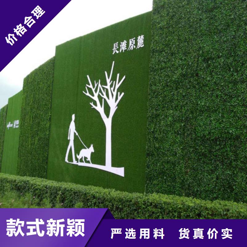 围挡草坪围挡草坪网高品质现货销售