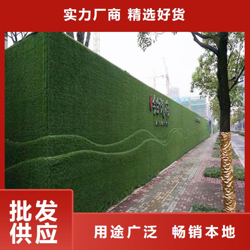 围挡草坪假草皮围挡好产品好服务