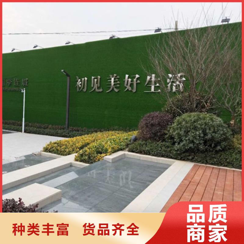 草坪围挡假草皮围挡可放心采购