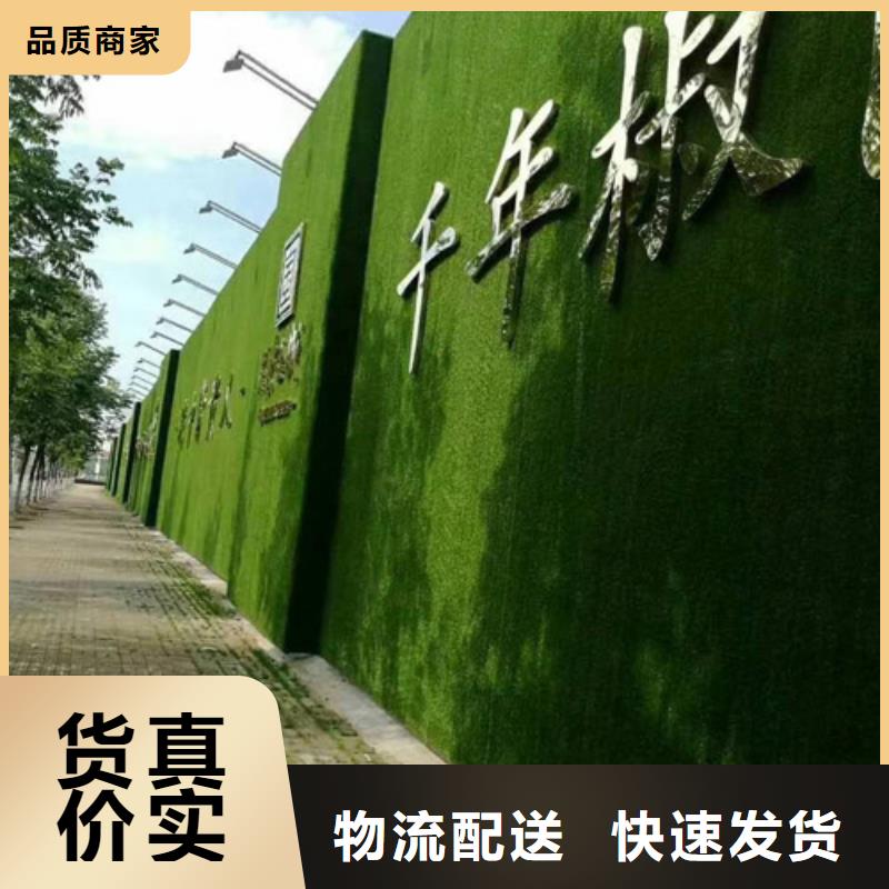 草坪围挡人造草坪围挡发货迅速