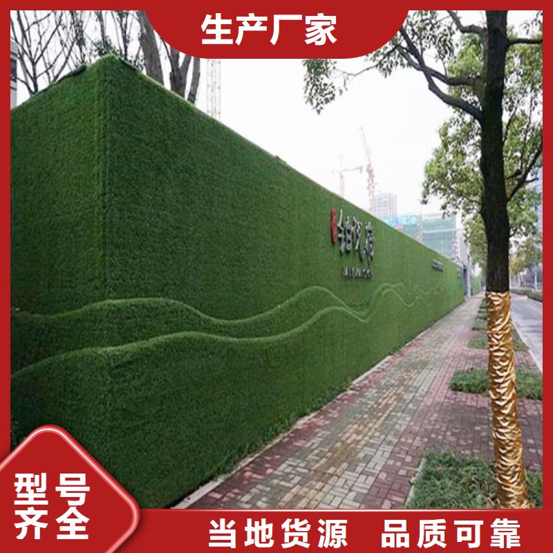 草坪围挡假草皮围挡严选材质