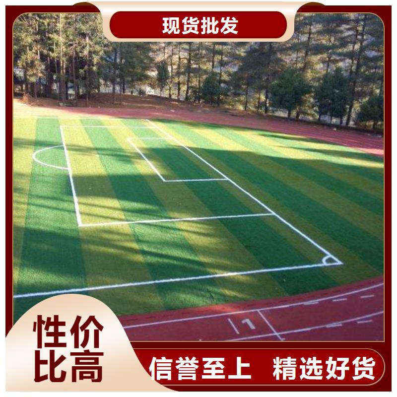 妙尔塑胶场地、妙尔塑胶场地厂家直销-价格实惠
