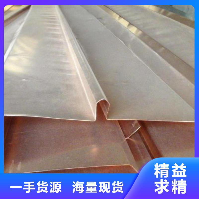 止水铜片中埋式橡胶止水带实拍展现