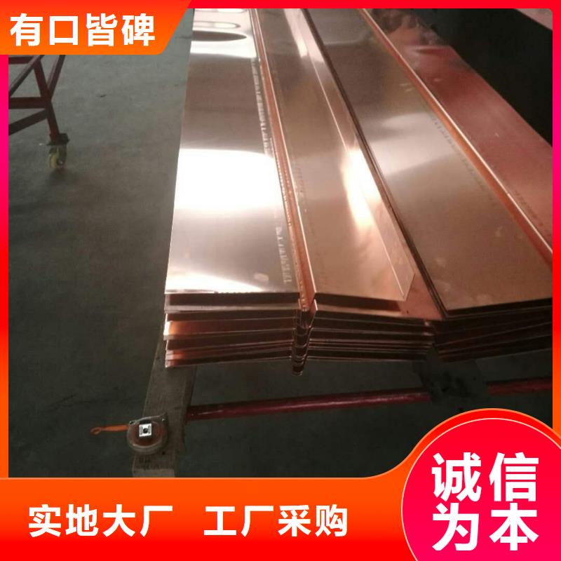 止水铜片中埋式橡胶止水带实拍展现