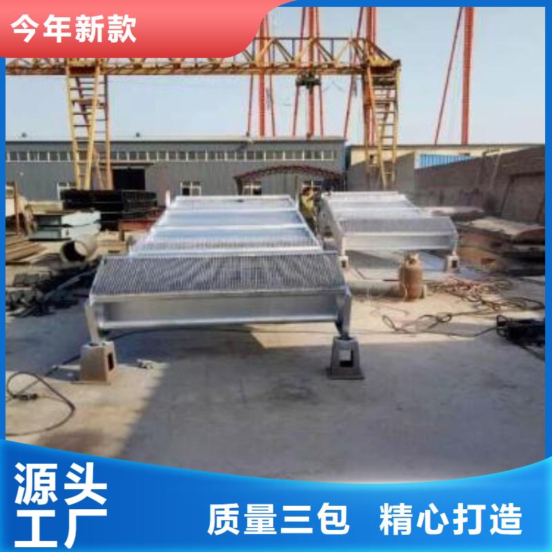 清污机【景观钢制闸门】追求品质