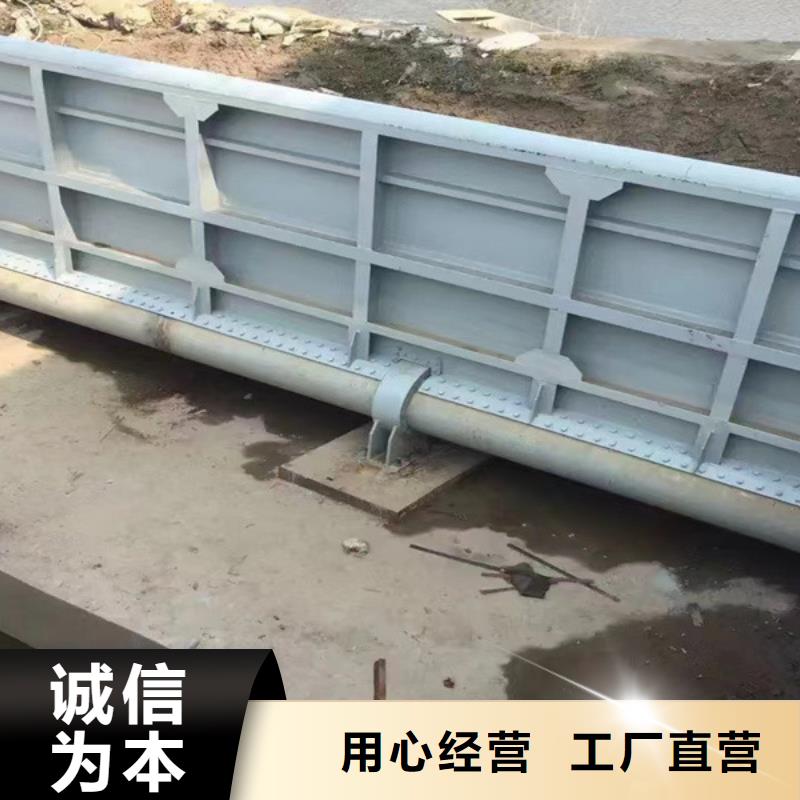 钢闸门品质保障价格合理
