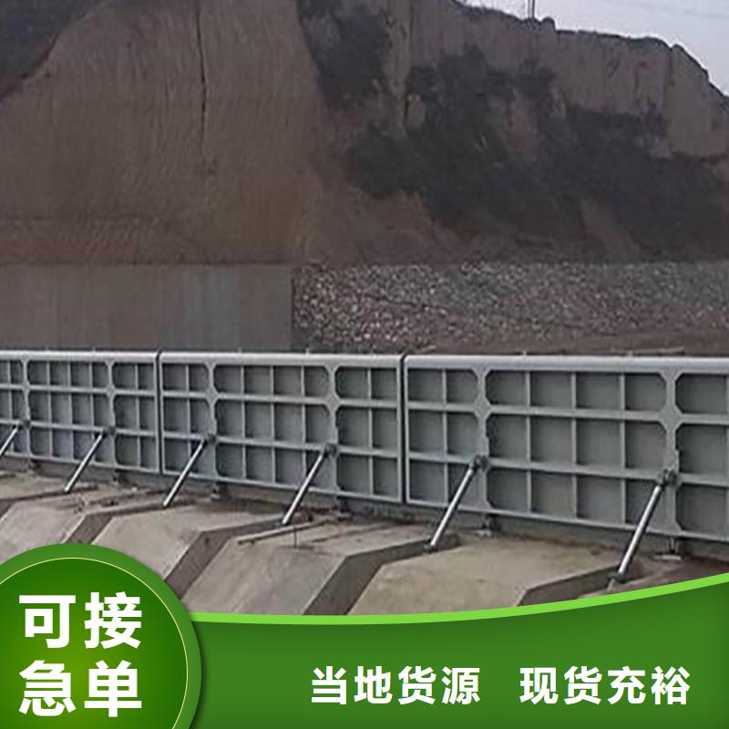 钢闸门N年专注