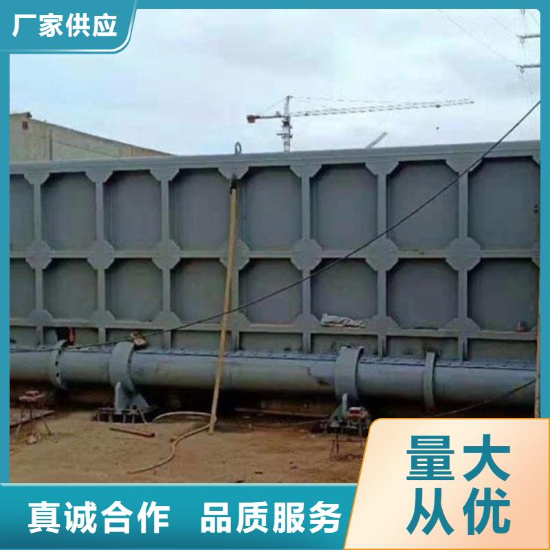钢闸门截流闸门专注细节使用放心