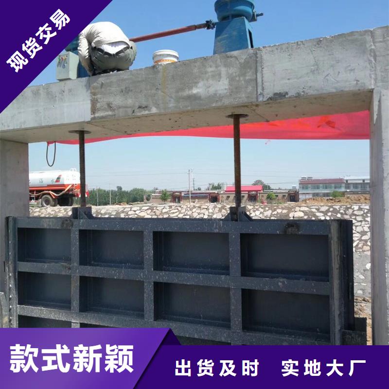 钢闸门实力公司