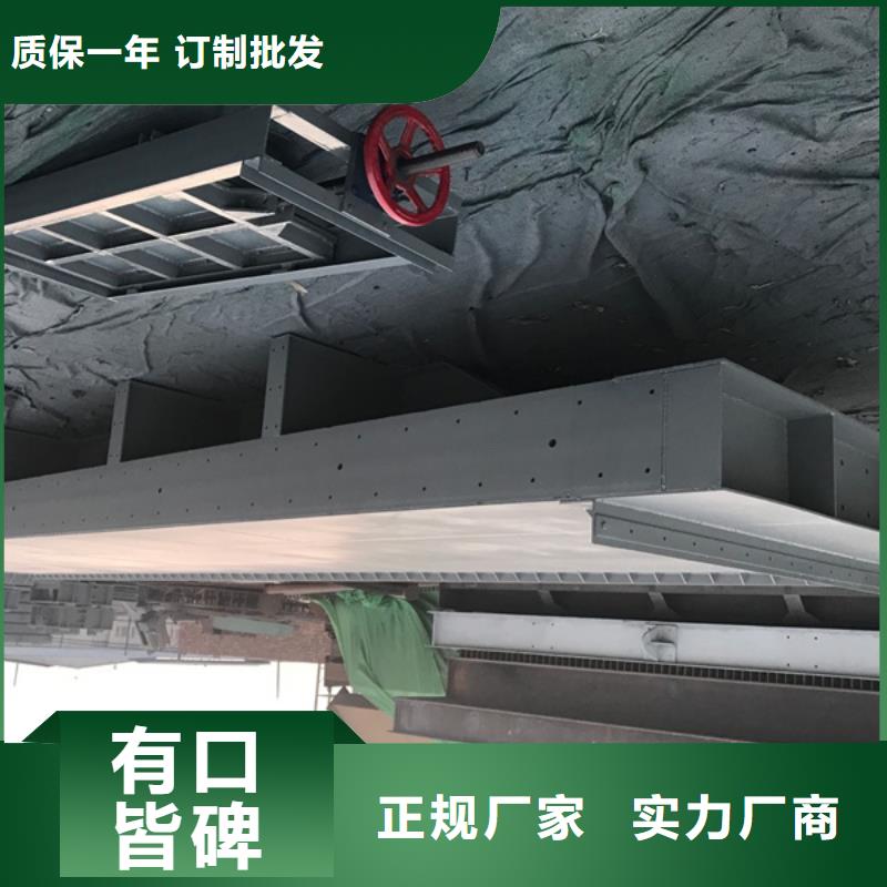 钢闸门【格栅清污机】的图文介绍