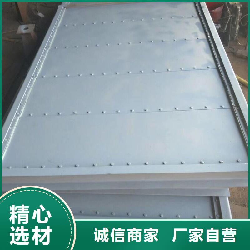  钢闸门有实力有经验