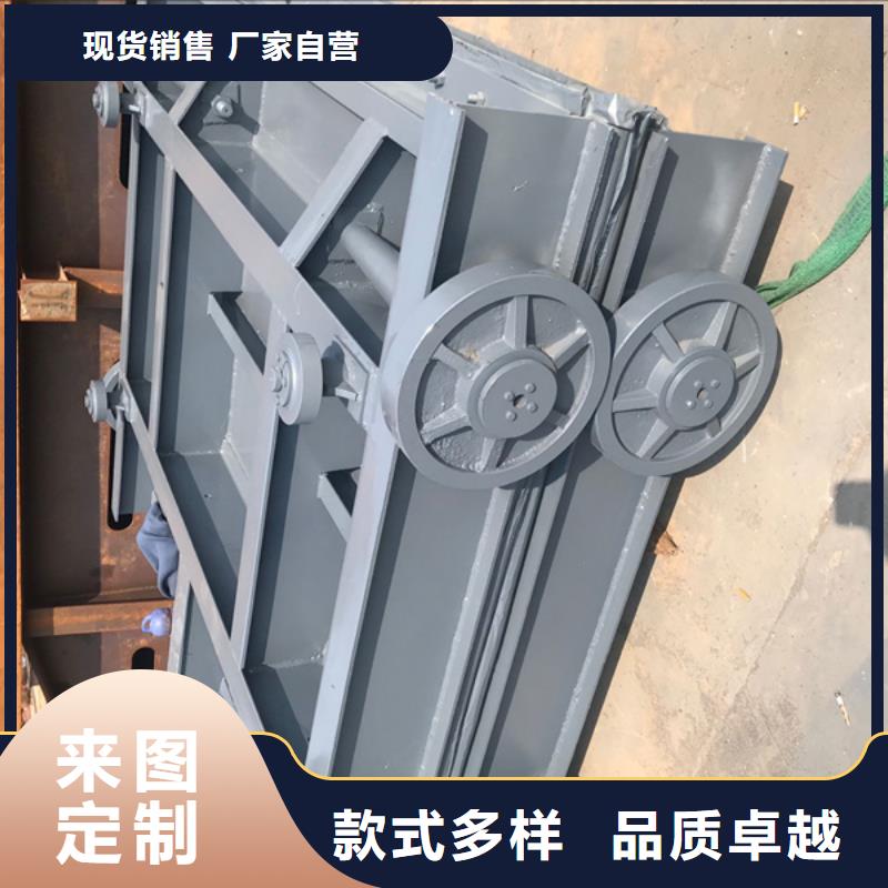 【钢闸门启闭机厂家专注细节专注品质】