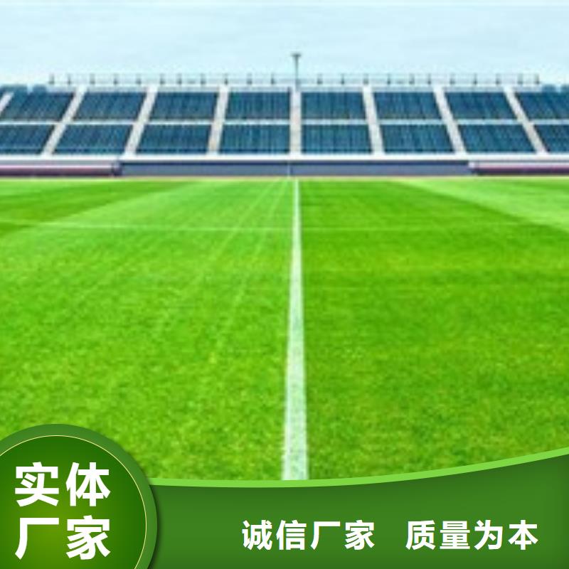 人造草坪PVC塑胶地板厂家型号齐全