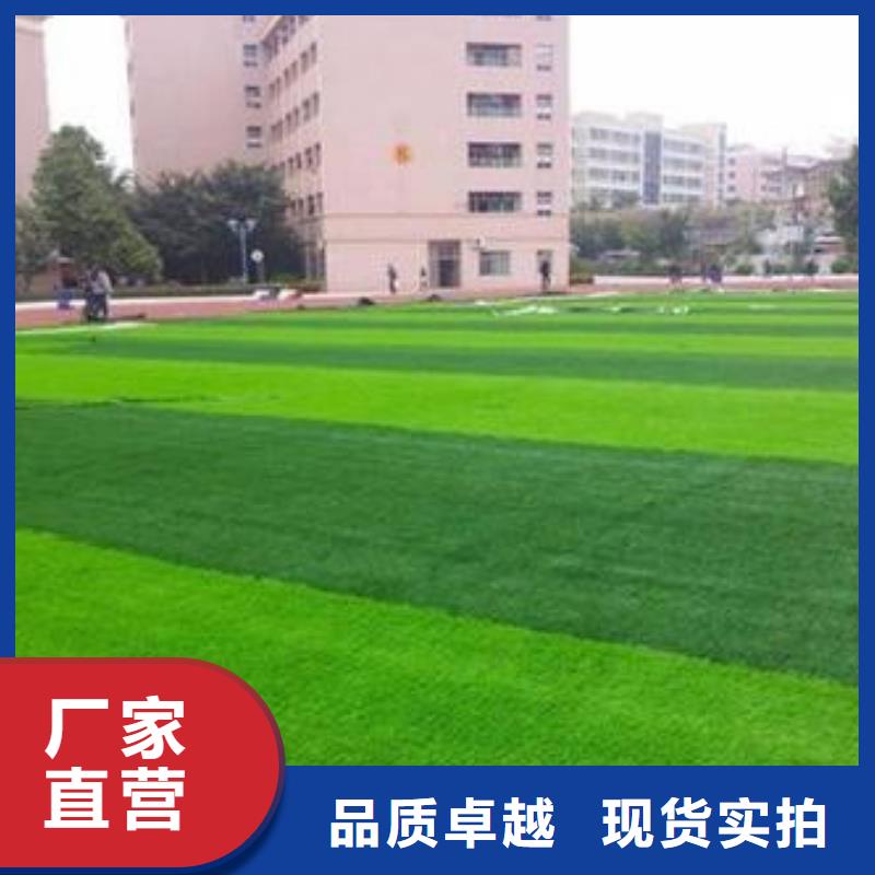 人造草坪PVC塑胶地板厂家型号齐全