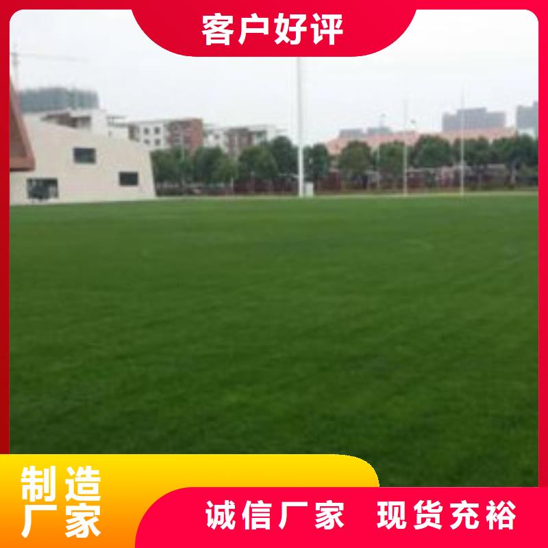 人造草坪PVC塑胶地板厂家型号齐全