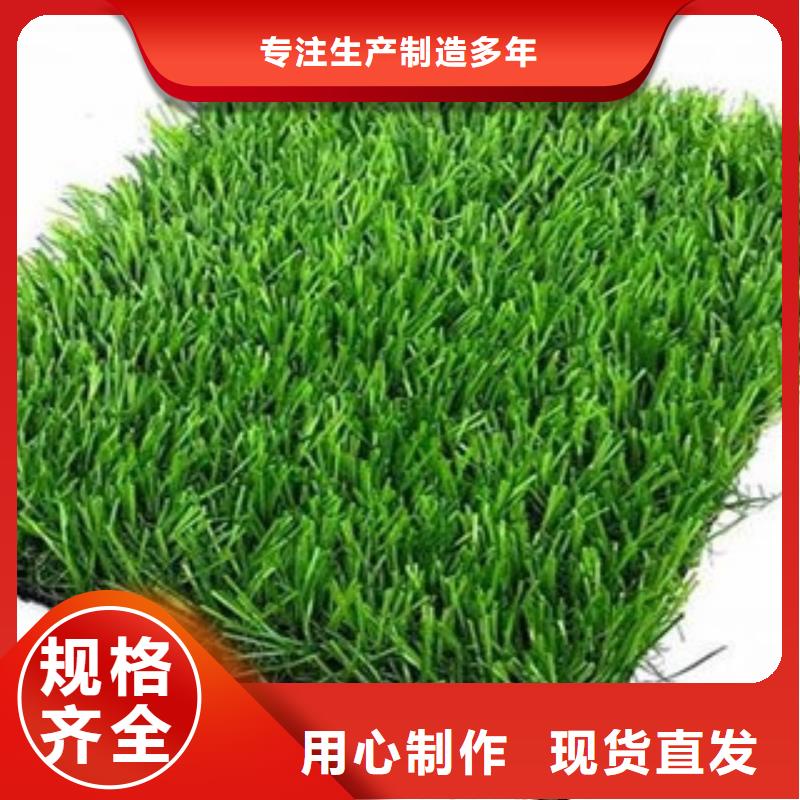 人造草坪塑胶跑道交货准时