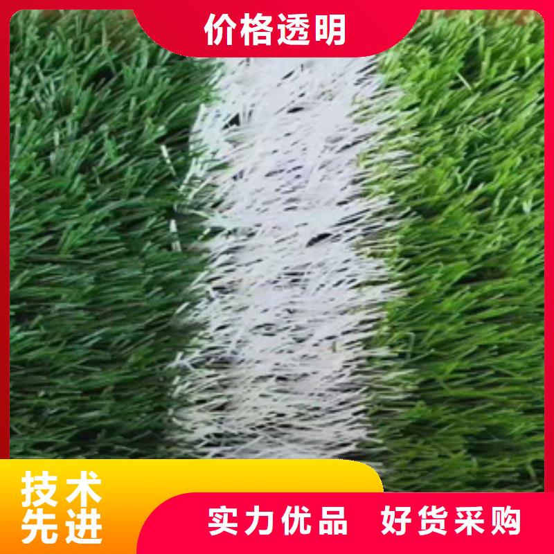 人造草坪,塑胶跑道严格把控质量