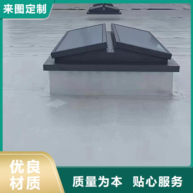 经验丰富的TC10C-4540n薄型通风天窗公司
