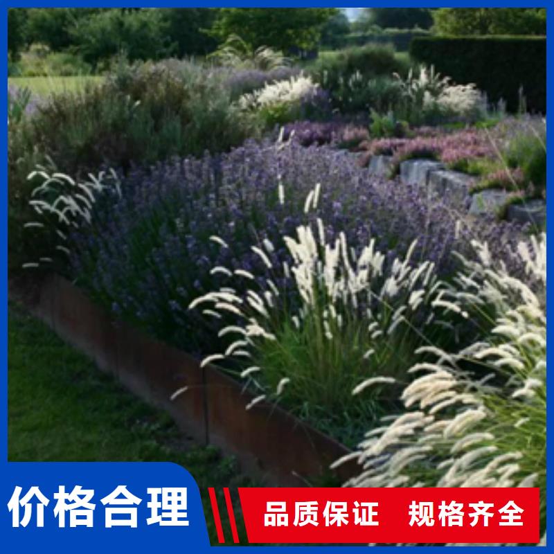 耐候板视频-耐候板(精诚)覆盖地域河南省南阳市新野|宛城|平顶山|安阳|濮阳|周口|鹤壁|开封|三门峡