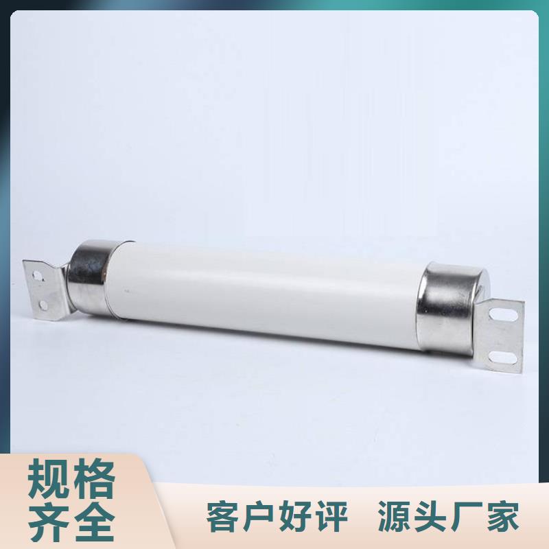 高压熔断器,XRNT-12KV熔断器真诚合作